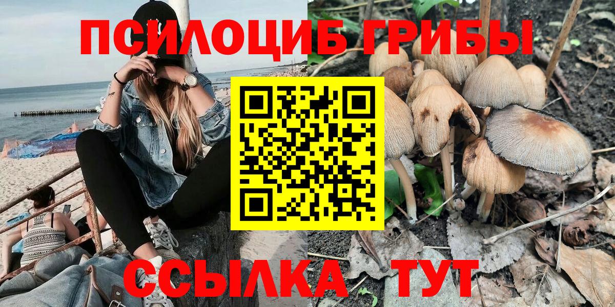 Галлюциногенные грибы MAGIC MUSHROOMS Сунжа