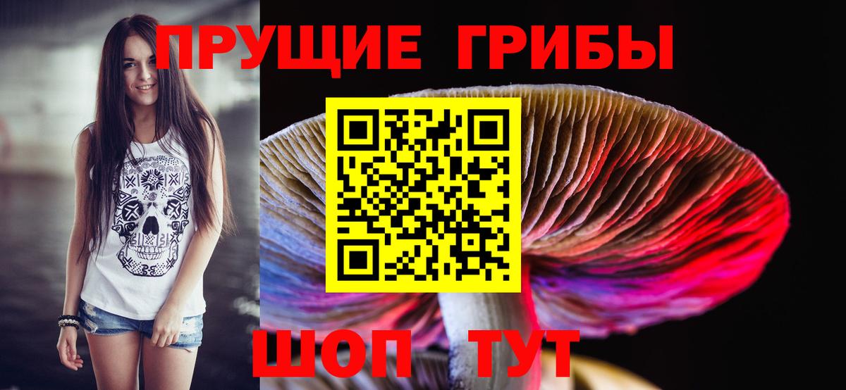 Сунжа  Псилоцибиновые грибы Magic Shrooms  Вход с VPN  Псилоцибиновые грибы Psilocybine cubensis 